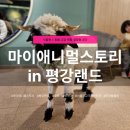 애니멀랜드 | 포천 가볼만한곳 | 마이애니멀스토리 in 평강랜드 체험형 동물원 후기
