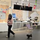 핸즈독(HANDSDOG) 이미지