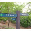 매봉초교 이미지