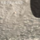 오륜주유소 이미지