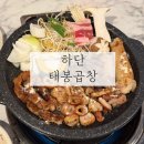 하단 곱창 가성비 좋은 맛집 &#39;태봉곱창&#39;