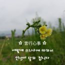 배의 방향을 결정하는 것은 돛입니다 이미지