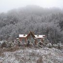 평창들꽃 이미지