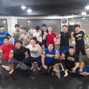 팀메드 Daum카페