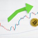 윌트레이딩 이미지