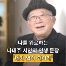 아리따움북 | 나를 위로하는 나태주 시인의 인생 문장! "네가 별이 되어라" (공감을 부르는 시 쓰기 방법)