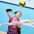 흥국생명 이미지