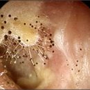 킹스의원 이미지