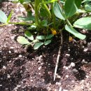 초읍초등학교 이미지