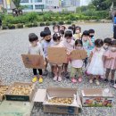 시립월곶어린이집(월곶어울림어린이집) 이미지