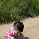 유준농장 Daum카페
