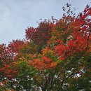 고창 문수사. 장성 축령산 이미지