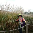 장산억새밭 이미지