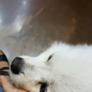 자르젠미용실 이미지