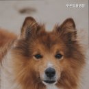 푸른동물병원 | 경기광주동물병원 푸른동물병원 신뢰할 수 있는 진료