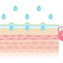 (주)유니토아 이미지