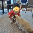 염소사육장 | [인천 구월동] 28개월 아기와 다녀온 인천 실내 동물원 "쥬니멀"