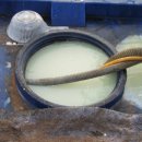 천지인농장 이미지