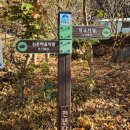 섬진강협동조합 | 하동 녹차밭 힐링여행, 놓치면 후회할 단금정(정금차밭) 인생 뷰!