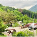 녹천농장 네이버블로그