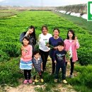 김기열 농장 이미지