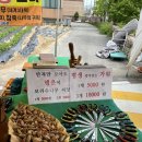 평창전통시장 | [평창전통시장]봉평재래시장,5일장,먹거리 후기