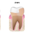 연세이로운치과보존과치과의원 이미지
