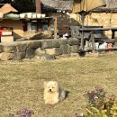 유진갈비 | [안동여행]안동시청 유진찜닭 웨이팅없이 먹은 후기