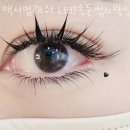 맥시멈래쉬LED속눈썹&브로우바