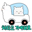 고성 다이노 캠핑장 이미지