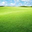 푸른초원 이미지