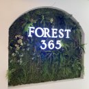 포레스트커피 이미지