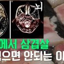 똥돼지 이미지