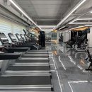 윌 휘트니스 이미지