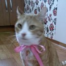 해랑방2 이미지