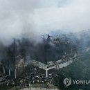 뼈대가 이미지
