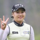 알바트로스투어 이미지