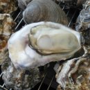 송화가든민박 | 대구근교캠핑장 성주 #별고을오토캠핑장