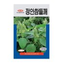 씨앗 이미지