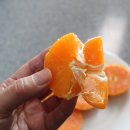 종남농장 이미지