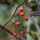 주영세탁 이미지