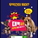 (주)네츄라필 이미지