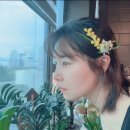 플로라안나 이미지