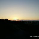 디 아넥스 이미지