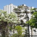 원흥3로 이미지