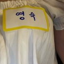 적당한 날 | 제주도 산방산 근처 조용한 게하 [적당한 게스트하우스] 도미토리 1박 솔직 후기