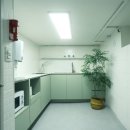 스테이 히어 이미지