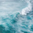 백수광부 이미지