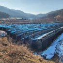 경지 태양광발전소 이미지