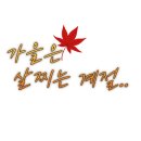 백그릭요거트